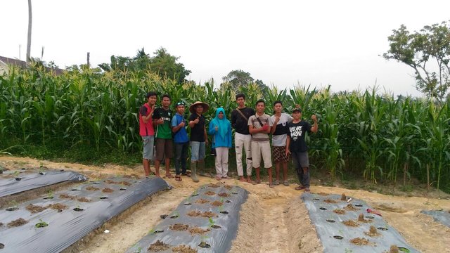 Petani Muda Riau Tak Hanya Kritik Kebijakan Pemerintah Pusat, Tapi Berikan Solusi