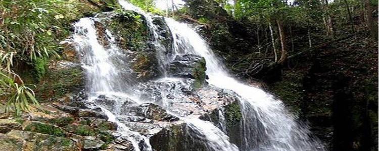 Pijar Melayu Bersama Pemkab Kuantan Singingi Ajak Masyarakat Sadar Wisata