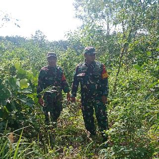 Babinsa Koramil 03/Mandau Laksanakan Patroli Karhutla di Wilayah Binaannya