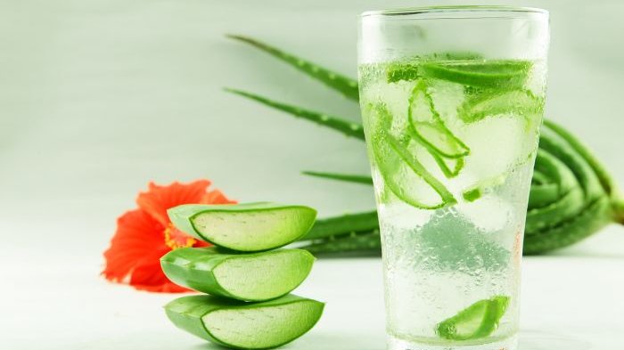 Lidah Buaya, Bisa Jadi Minuman Favorit