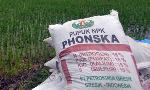 Ada Apa Soehendra Jaya Selaku Distributor Pupuk Bersubsidi di INHU Jadi Bungkam ?