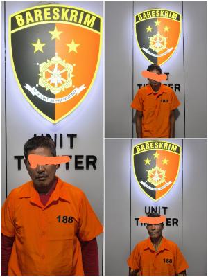 Tiga Pelaku Pembalakan Liar/Ilegal Logging Digrebek & Diamankan Satreskrim Polres Bengkalis