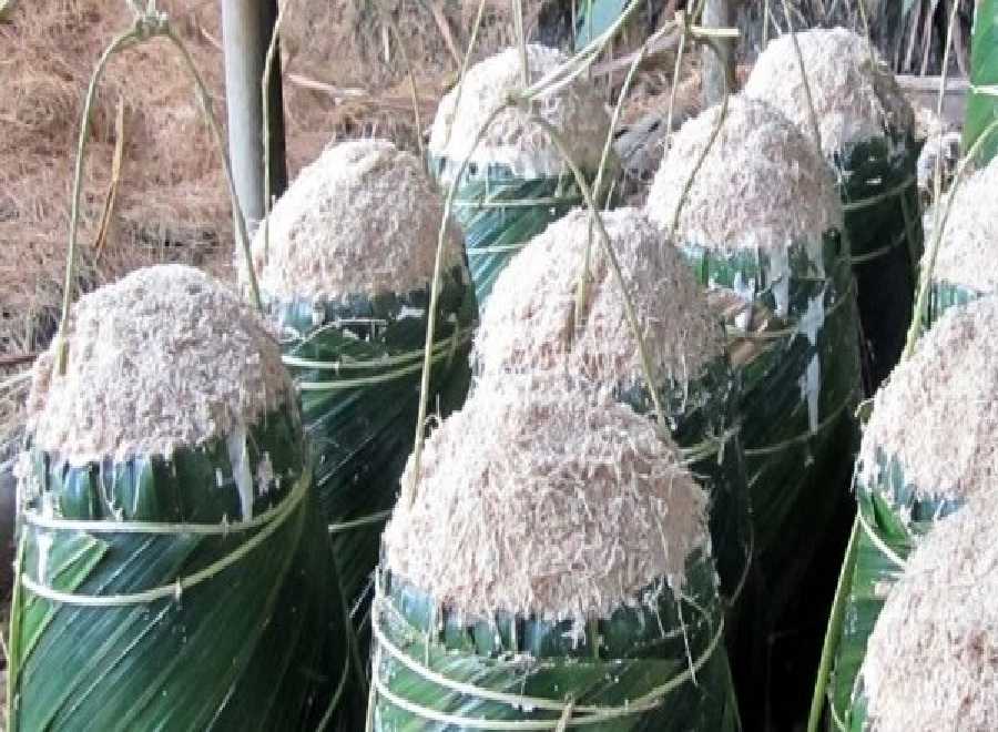 Gubri Ajak Populerkan Sagu