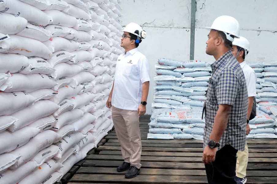 Pemerintah Tambah Alokasi Pupuk Subsidi Menjadi 9,55 Juta Ton di Tahun 2024