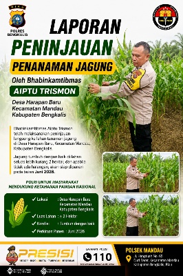 Babinkamtibmas Desa Harapan Baru Lakukan Peninjauan Lahan Jagung 1 Juta Hektare Siap Panen