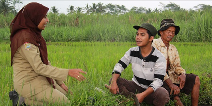 Kuansing Perkuat Peran dan Fungsi Penyuluh Pertanian