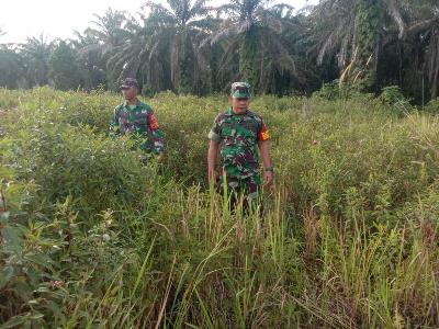 Terik Panas Matahari Tak Surutkan Niat TNI Koramil 03/Mandau Lakukan Pencegahan Karhutla