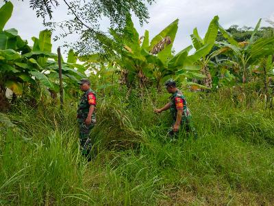 Babinsa Mandau lakukan Patroli Karhutla Diwilayah Binaannya Terus Menerus Guna Antisipasi Kebakaran
