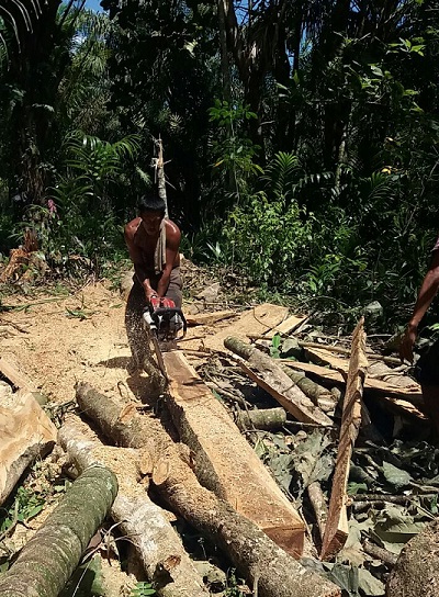 PJI Riau Pertanyakan Sosialisasi Pemen LHK 85, Sosialisinya Kenapa Redup ?