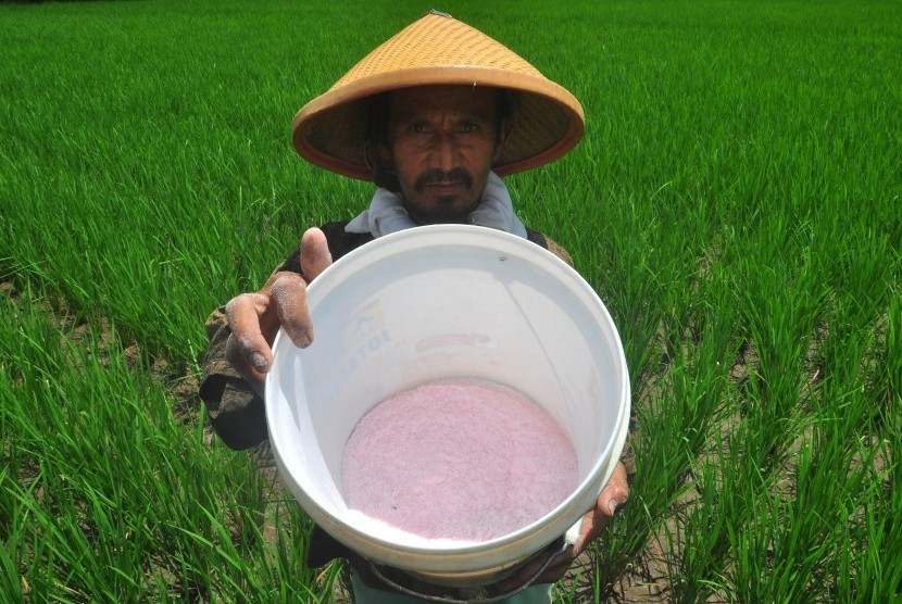 50 Persen Pupuk Urea Terbuang Percuma Malah Rusak Lingkungan
