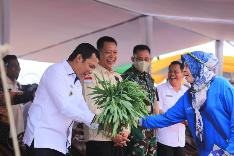 Gerakan Menanam Cabai di Pekanbaru Libatkan KWT Seluruh Kecamatan