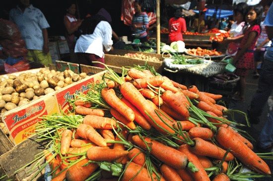 Harga Wortel Di Pekanbaru Naik Hingga 20 Ribu