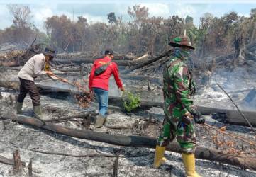 15 Hektare Lahan Terbakar di Rohil, 8 Pelaku Ditangkap, Satu Masih di Bawah Umur