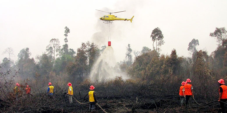 Sulitnya Titik Api di Riau Dipadamkan