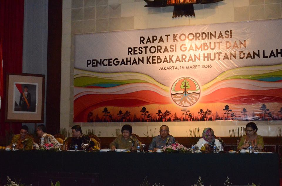 Guna Mencegah Karhutla, Pemerintah  Merestorasi Lahan Gambut