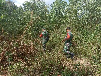 Babinsa Koramil 03/Mandau Lakukan Penelusuran Karhutla di Wilayah Binaannya