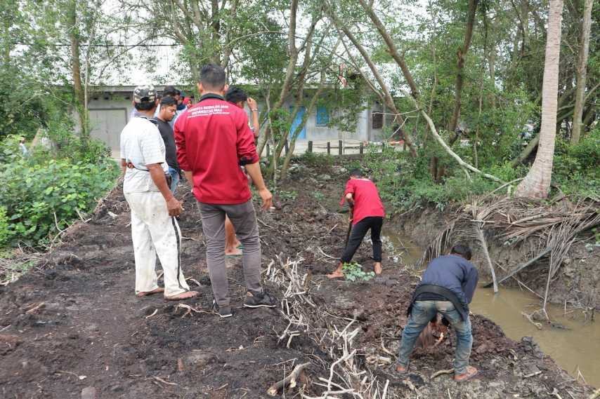 Cegah Abrasi dan Erosi, Mahasiswa Kukerta UR Tanam 1000 Pohon Mangrove