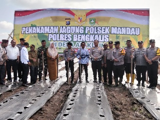 Melalui BUMDes Desa Air Kulim Betuah, TNI/Polri Tanam Jagung & Semangka Program Ketahanan Pangan