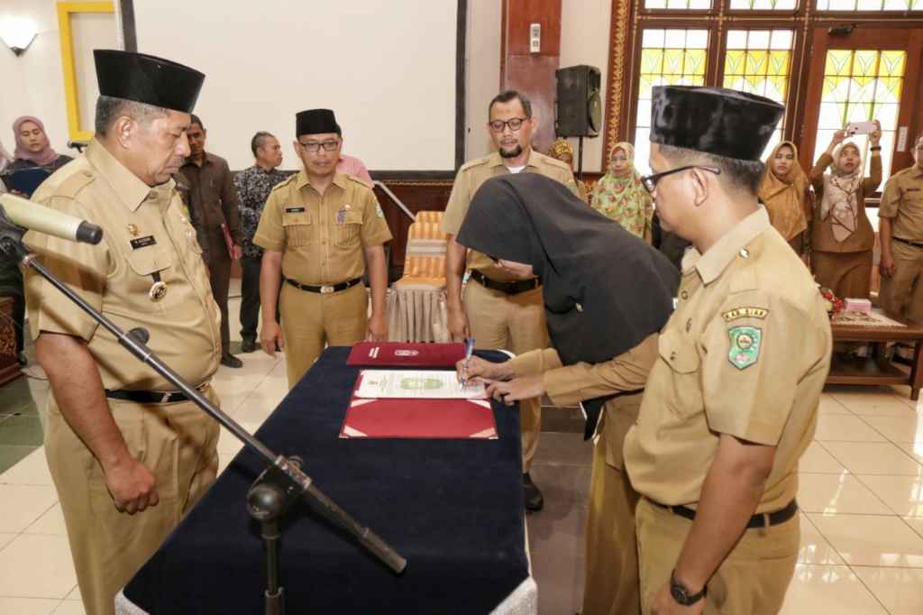 Alfedri: How to Manage Your Bos