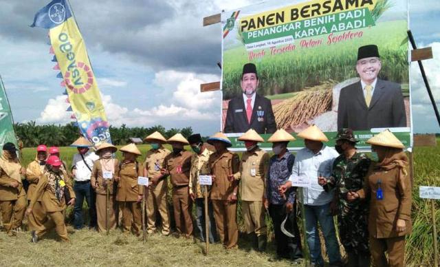 Ketua Komisi I Harap Kesejahteraan Petani Padi Diperhatikan