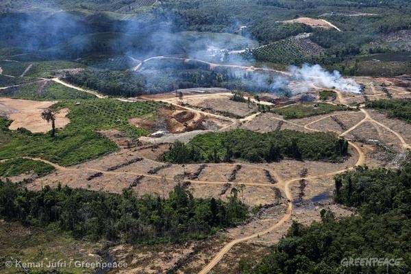 Pendataan Ulang HGU Salah Satu Solusi Menghasilkan PAD Kampar