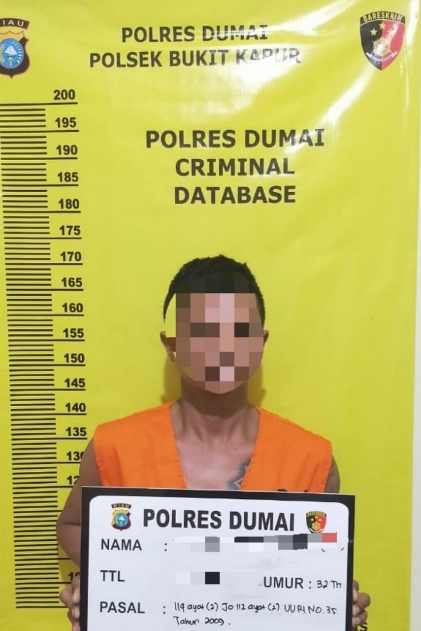 Tim Opsnal Polsek Bukit Kapur berhasil membekuk seorang Pengedar Narkotika Jenis Shabu.