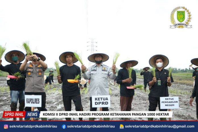 Komisi II DPRD Inhil Hadiri Program Ketahanan Pangan 1000 Hektar