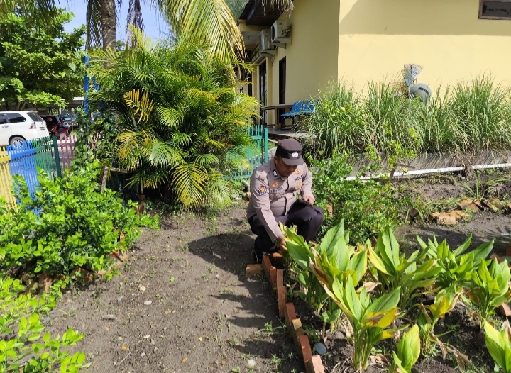 Bersama Petani, Personel Polsek Dumai Timur Tinjau Perkembangan Tanaman Pakcoy di Bukit Batrem