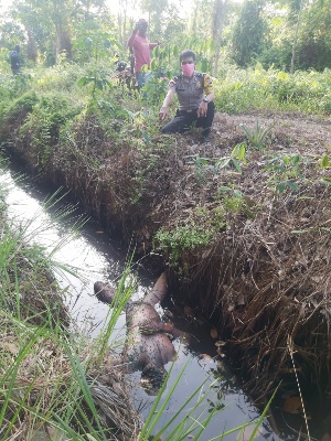 Pria Paruh Baya Tewas Bunuh Diri Dalam Keadaan Tertelentang Di Parit
