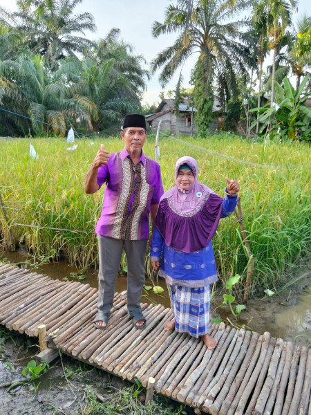 Menuju Swasembada Pangan, Kelompok Tani Harum Sari Jaya Siapkan Panen Raya Padi