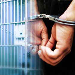 Selama Satu Bulan, Polda Riau  Amankan 418 Orang Tersangka Peredaran Narkoba