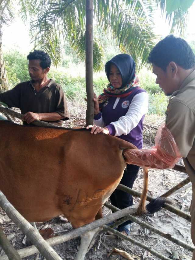 Lewat Program Bayi Tabung,  Siak Sukses penuhi target pemerintah Pusat
