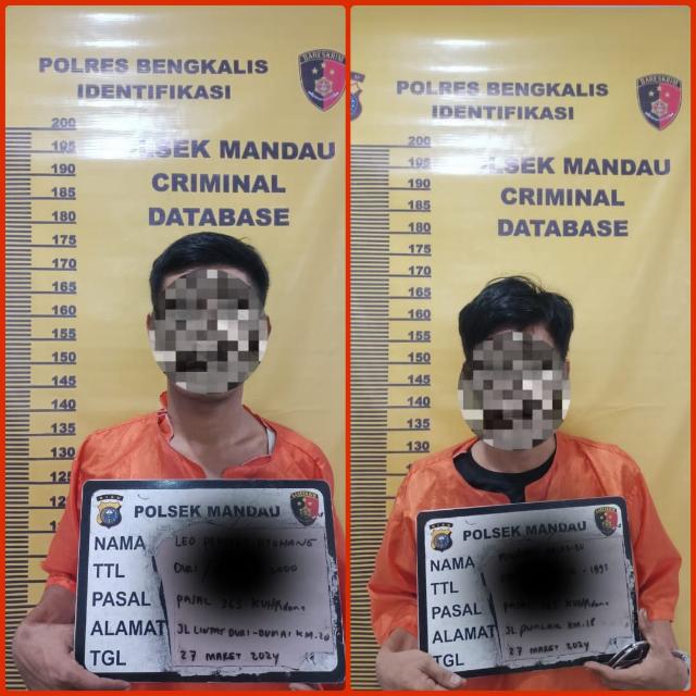 Dua Pria Maling Sepeda Motor Diringkus Polisi Mandau