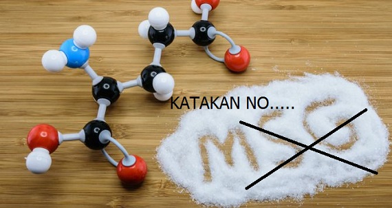 Kadis Riau : Penyedap rasa Bisa Merusak Ginjal dan Otak