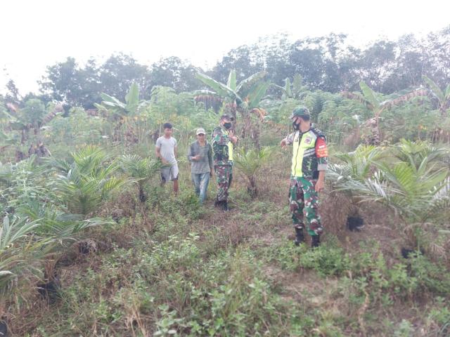 Serma Yulihar dan Sertu SDG Barus Babinsa Koramil 04/Mandau Patroli Karhutla di Desa Semunai