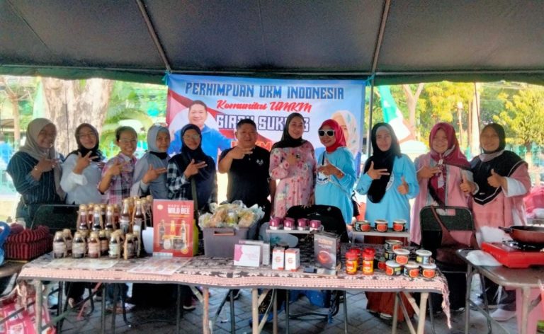 Tantangan Bagi Kementerian UMKM dan Kementerian Koperasi, Harus Bekerja Jemput Ke Bawah