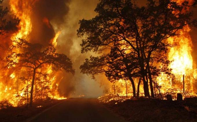 Hospot Kembali Terdeteksi Di Riau