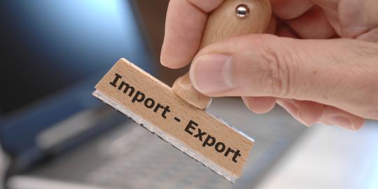 Wabup Meranti, Sederhanakan Prosedur dokumen Ekspor Impor investor pasti masuk