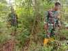 Cegah Terjadinya Kebakaran Lahan dan Hutan, Babinsa Lakukan Penyisiran di Titik Rawan Api