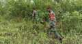 Cegah Karhutla,, TNI Koramil 03/Mandau Telusuri Lahan dan Hutan Rawan Api