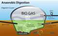 BIOGAS: Mengolah Limbah Jadi Berkah Turning Waste Into Benefit