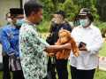 Menteri LHK Bilang Populasi Orangutan Sempat Terancam Kebakaran Gambut