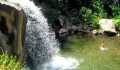Dinas Pariwisata Jelajahi Potensi Air Terjun Batang Kapas