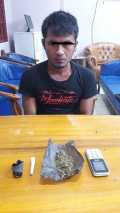 2 Orang Tersangka Penyalah Gunaan Narkotika Jenis Ganja Di Amankan Polsek Mandau