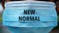 Pemulihan Ekonomi dengan New Normal