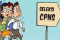 INGAT !!! Seleksi CPNS 2017 Secara Resmi Dibuka Pada Bulan Juni