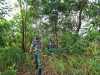 Cegah Kebakaran,,Babinsa Monitoring Semak Belukar di Wilayah Binaannya