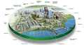 ADEI Riau Ikut Serta Dalam Seminar Online Webinar Smart City