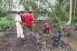 Cegah Abrasi dan Erosi, Mahasiswa Kukerta UR Tanam 1000 Pohon Mangrove