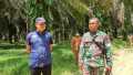 Bersama Kades Muara Basung,,Danramil Mandau Tinjau Lokasi Sasaran TMMD ke-113